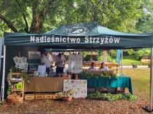 Strzyżowscy leśnicy na pikniku w Sanoku